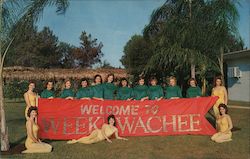 Weekie Wachee Mermaids Weeki Wachee, FL Postcard Postcard Postcard