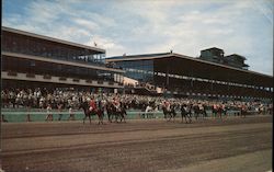 Suffolk Downs Postcard