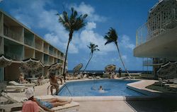 The Golden Falcon Hotel Pompano Beach, FL Postcard Postcard Postcard