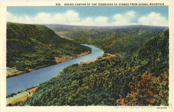 Grand Canyon of the Tennessee as viewed from Siganl Mountain Scenic