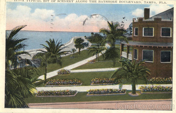 A Typical Bit of Scenery Along The Bayshore Boulevard Tampa Florida