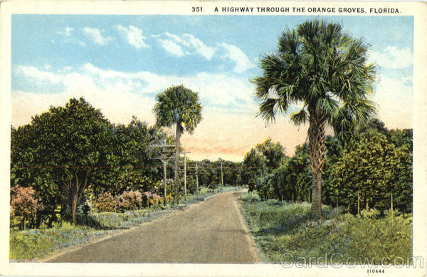 A Highway Through The Orange Groves Scenic Florida
