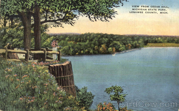 View from Cedar Hill, Michigan State Park Lenawee County