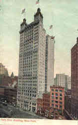 Park Row Building New York City, NY Postcard Postcard
