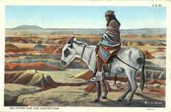 Native American Indian on Horse Native Americana Postcard Postcard