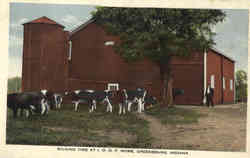 Milking Time At I.O.O.F. Home Greensburg, IN Postcard Postcard