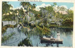 Beautiful Scene near Miami Florida Postcard Postcard