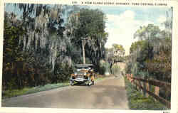 A View Along Scenic Highway, Thru Central Florida Postcard