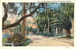 Dixie Highway Along Indian River Scenic, FL Postcard Postcard
