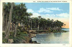 Along The Shore of The Indian River Postcard