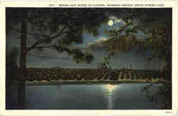 Moonlight Scene In Florida, Showing Orange Grove Across Lake Scenic, FL Postcard Postcard