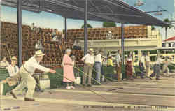 Shuffleboard Court St. Petersburg, FL Postcard Postcard