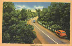 Rose City Michigan Postcard Postcard