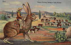 Texas Cowboy riding a Jack Rabbit Exaggeration Card Postcard