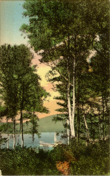 View In Front Of Cottages At Moosehead Lake Greenville Maine