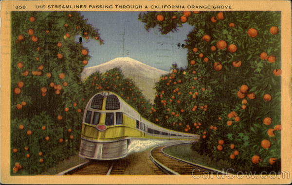 The Streamliner Passing Through A California Orange Grove