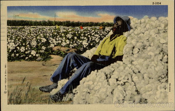 Cotton Picking Black Americana