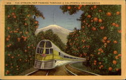 The Streamliner Passing Through A California Orange Grove Postcard