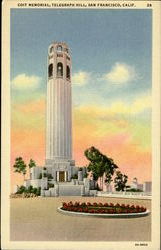 Coit Memorial Postcard