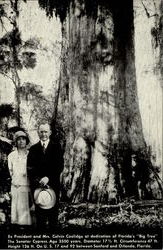 Ex President And Mrs. Calvin Coolidge Postcard