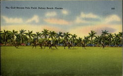 The Gulf Stream Polo Field Delray Beach, FL Postcard Postcard