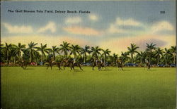 The Gulf Stream Polo Field Postcard