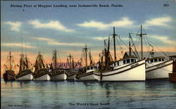 Shrimp Fleet At Mayport Landing Jacksonville, FL Postcard Postcard