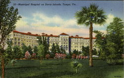 Municipal Hospital, Davis Islands Postcard