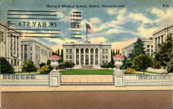 Harvard Medical School Postcard