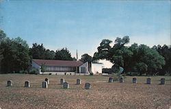 The Lower Bluff on the Altamaha Postcard