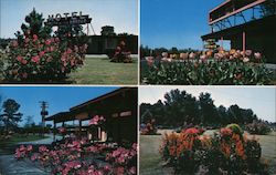 South of the Border South Carolina Postcard Postcard Postcard