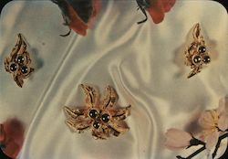A pair of gold earrings and a gold pin Postcard