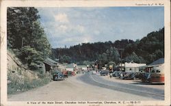 A View of the Main Street, Cherokee Indian Reservation Postcard