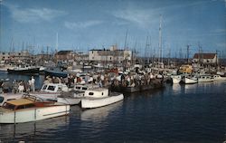 Westport, Washington Postcard