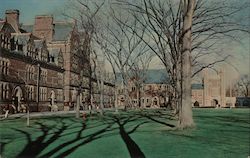 Trinity College Postcard
