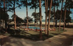 Sea Gull Motel Postcard
