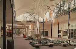Edgewater Plaza Mall Postcard