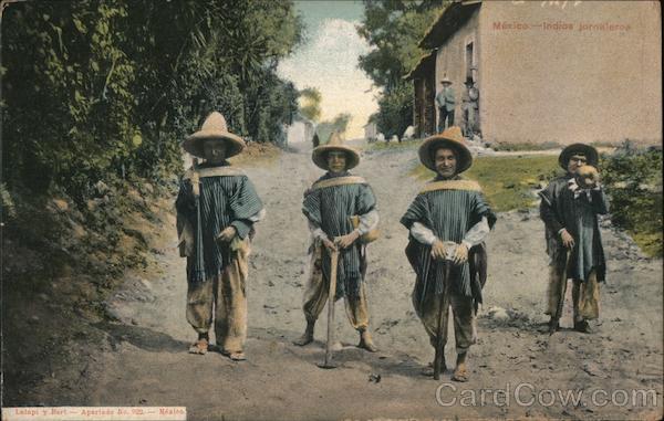 Indies Jornalere Mexico