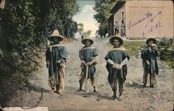 Indios Jornaleros Mexico