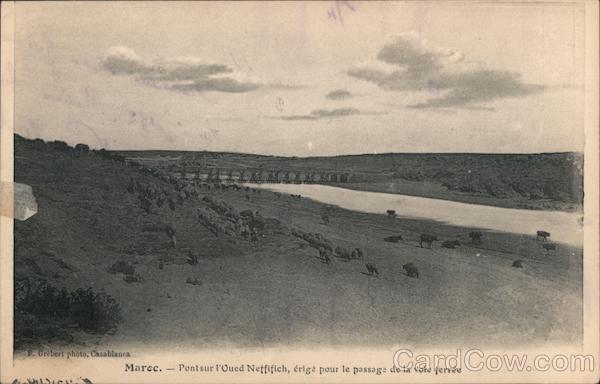 A train bridge crossing a Moroccan wadi with watering livestock Morocco