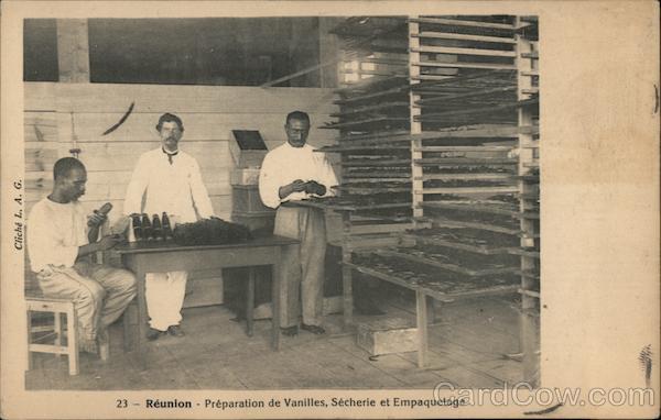 Preparation of Vanilla - Drying and Packaging Réunion Island France
