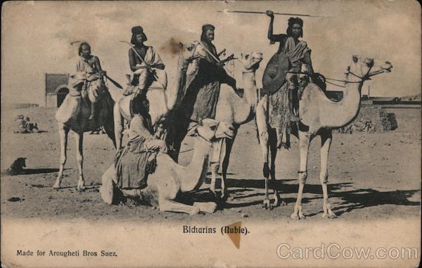 Bicharins (Nubie) Arab