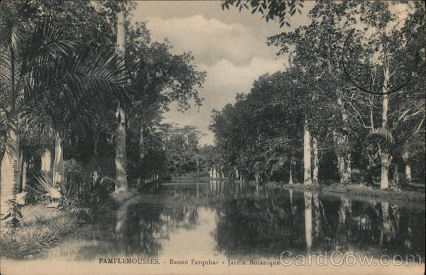 Pamplemousses - Bassin Farquhar - Jardin Botanique Mauritius