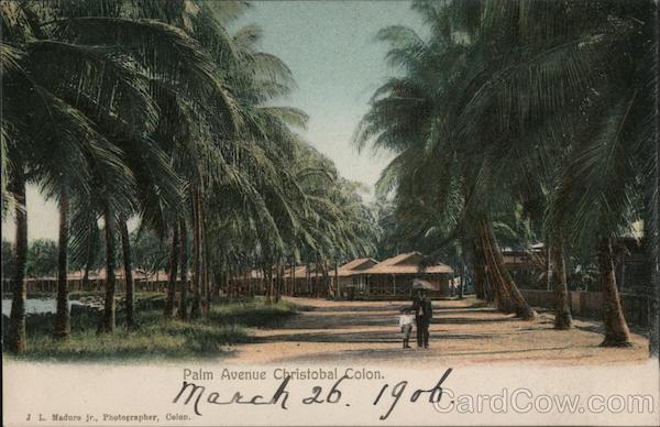 Palm Avenue Christobal Colon Panama