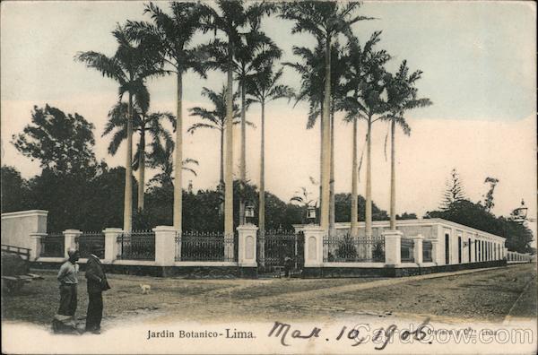 Botanical Garden Lima Peru
