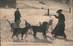 Hospice du Grand Saint Bernard - Training Dogs Great St Bernard Pass, Switzerland Postcard Postcard Postcard