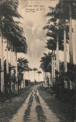 Cedar Hill Ave:, Antigua Postcard