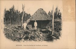 Case of a Vanillerie Guardian, Colosse Postcard