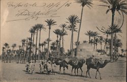 Tripoli & Afrique Postcard