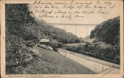 In the Gardens Saltburn-by-the-Sea, England Postcard Postcard Postcard